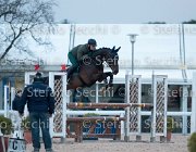 Belinda FZ Tosc Tour2013- S5 1929 : Arezzo, Belinda FZ, Cavalli d'Italia, Toscana Tour 2013, foto di Stefano Secchi ©